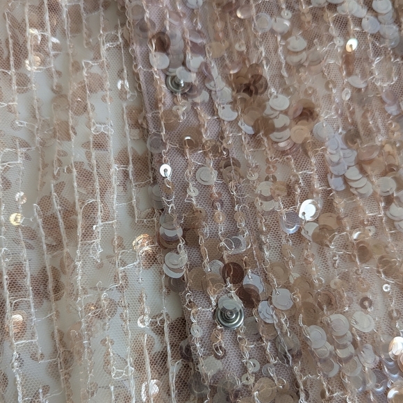 Zara Sequin Button Up Sheer Cardigan Long Sleeve Midi Shirtdress Rose Gold sz M - Picture 5 of 9